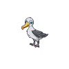 Funny Albatross Lover Albatross Whisperer