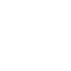 Flying pigeon on wide wings