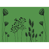 FIneline flowers drawing black green