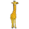 Giraffe with daisies