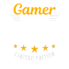 Gamer fait en 2008
