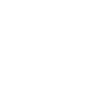 WHITE LAGOTTO DOG