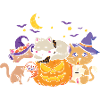 Halloween Cat Witch
