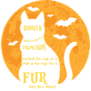 Halloween Cat Witch