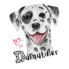 Dalmatiner Love