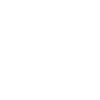 Execution NEW 1