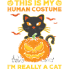 Halloween Cat Witch