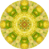 Mandala Sheep 5