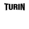 Turin