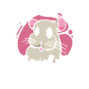 Crazy Chinchilla Lady