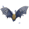 Bat
