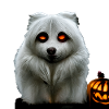 Halloween American Eskimo Dog