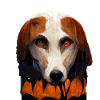 Halloween American Foxhound