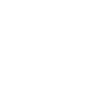 Captain Airline Pilot Jumbo Jet