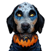 Halloween Bluetick Coonhound