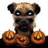 Border Terrier Halloween