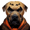 Halloween Boerboel