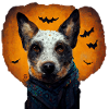 Chien de bétail d’Halloween