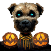 Halloween Border Terrier