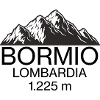 bormio logo