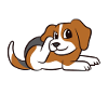 Beagles - I love beagles