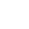 Disc