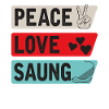 Peace Love Saung Instrument