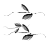 Plant leaves pattern