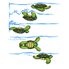 Schwimmer drehen Turtle Swim