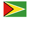 Drapeau officiel guyanais Country Pride
