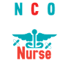 Nacho Average Nurse