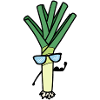Leek