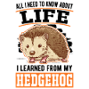 Hedgehog Gift Goose Gel