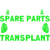 Organspender Organtransplantation Operation