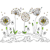 Dandelions