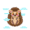Anatomy of a Fun Hedgehog
