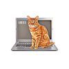 Lavorare con computer e gatti inglese