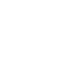 (PCR) Pirate Certifié Rate-pi