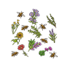 Plant This Saves Bees
