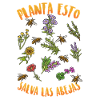Plant This Saves Bees