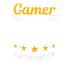 Gamer made in 2007