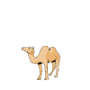 Camel Halloween Costume
