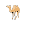 Pretend I'm a camel