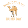 Funny bridge day saying