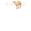 Camel heartbeat