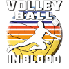 VOLLEYBALL IN BLOOD