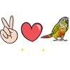 Molinasittich Parrot Bird Sun Parakeet