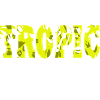 Tropic Feelings Tropical