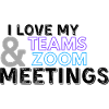 Zoom Teams Meeting