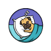 Official sleepshirt Pug